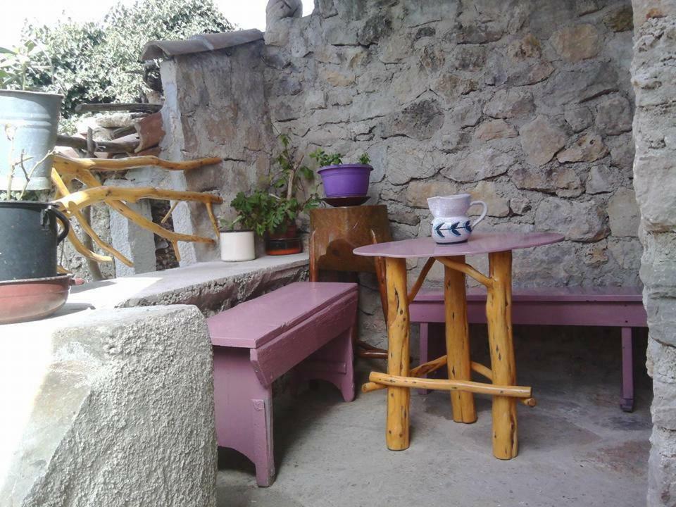 Apartment Anetica Cres Zewnętrze zdjęcie